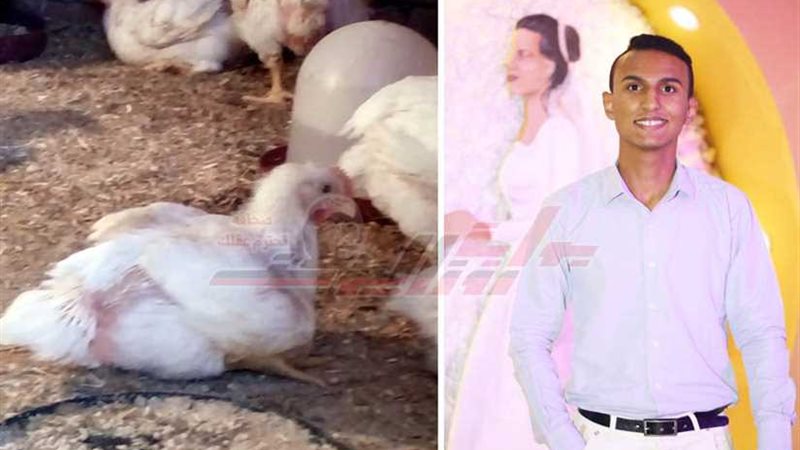 جودة.. مكسب جديد