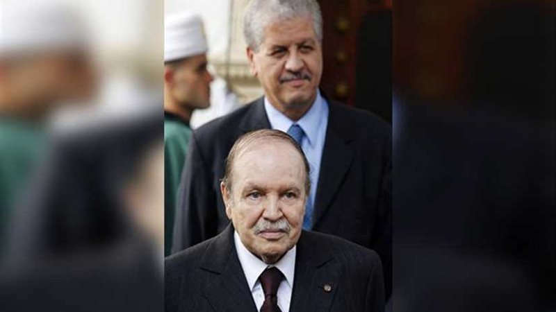 مدير حملة بوتفليقة