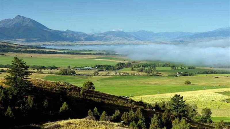 على طريقة فيلم عايز