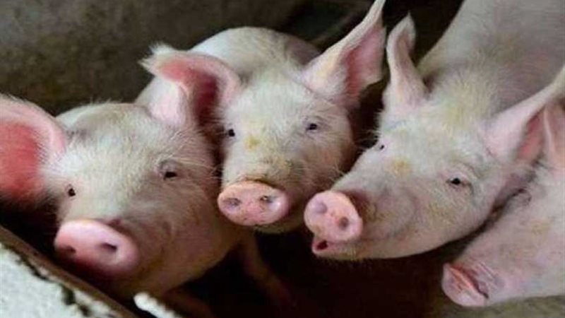 اكتشاف حالات إصابة