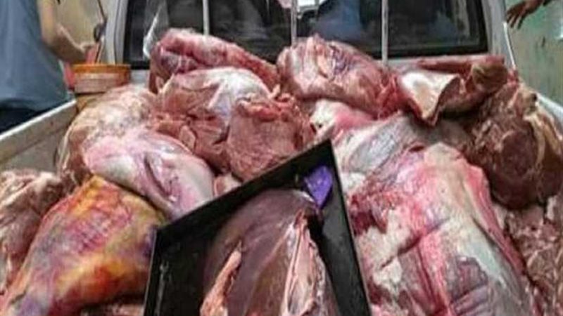 ضبط 15 طن لحوم وأسماك