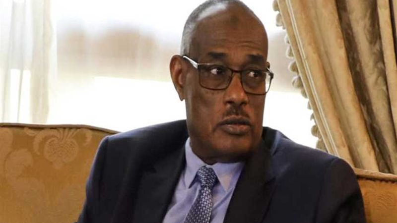 وزير الخارجية السوداني