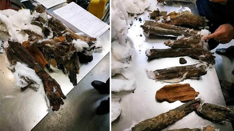  الطرود البريدية