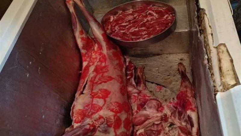 محافظ أسيوط: 376