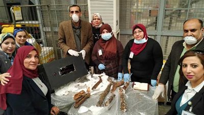 ضبط أجزاء من مومياوات بمطار القاهرة أثناء محاولة تهريبها إلى بلجيكا