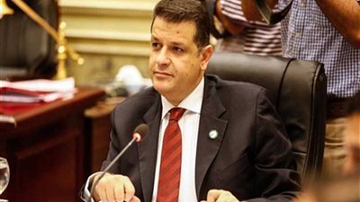 رئيس إفريقية النواب: مصر دولة التوازنات الاجتماعية بشعبها الذي لم يتغير تشكيله