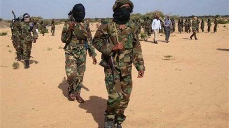 حركة الشباب المتمردة