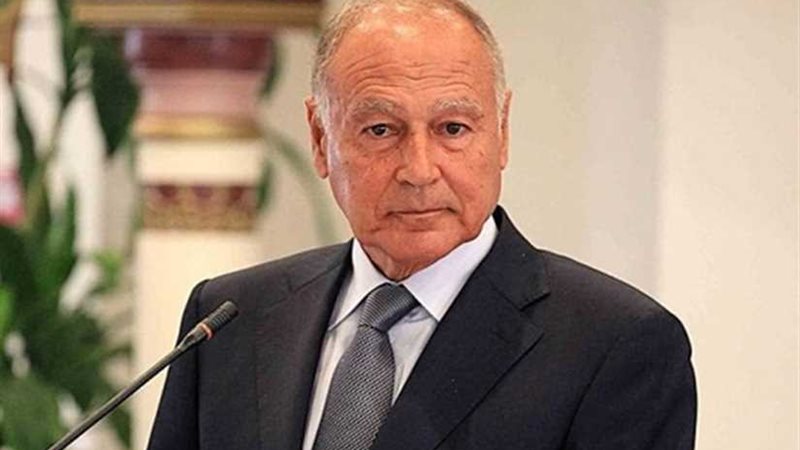 أبو الغيط يبحث تعزيز