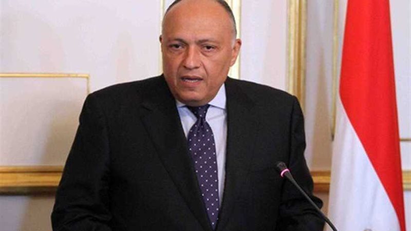 شكري يبدأ غداً زيارة