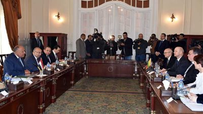 شكري يبحث مع نظيره الليتواني سبل دفع العلاقات الثنائية بين البلدين