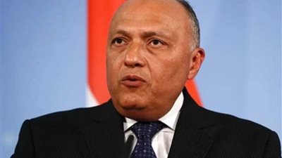 شكري يلقي كلمة مصر بالدورة الـ40 لمجلس حقوق الإنسان