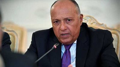 شكري: المشاركة الواسعة في القمة العربية الأوروبية تأتي تقديرا لمكانة مصر والرئيس السيسي