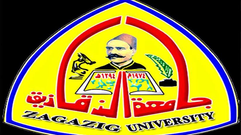 بدء تنفيذ المبادرة