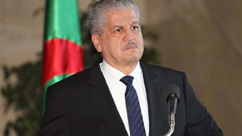 مدير حملة بوتفليقة: