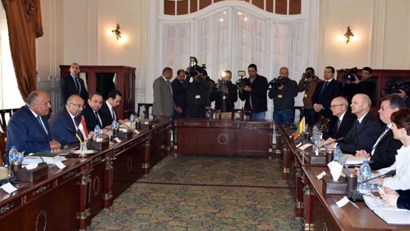 شكري يبحث مع نظيره