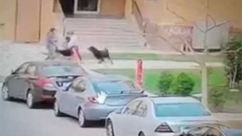 قرار نادر للنيابة