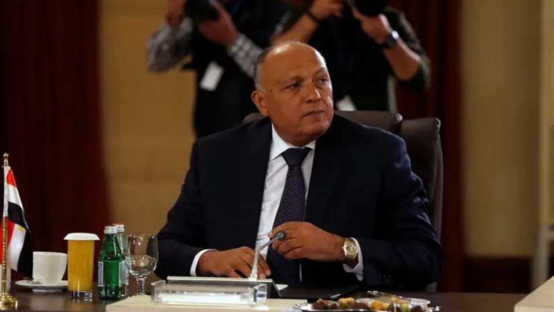 شكري وباشليه يستعرضان