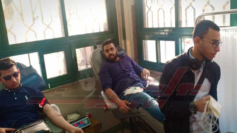 شهامة المصريين..طوابير