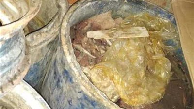 ضبط 5 آلاف كيلو سردين فاسد قبل ترويجه علي المواطنين بـ