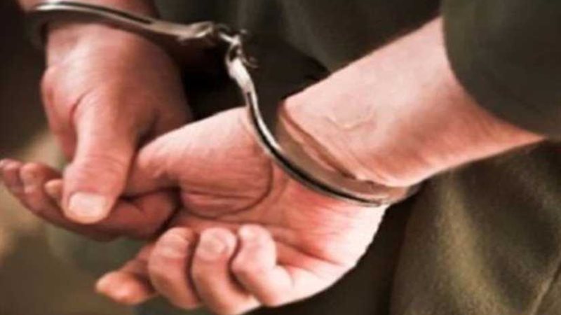 دولابي أحمد ومايكل