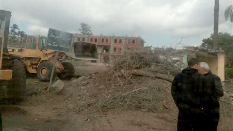 شجرة تقطع طريق مصر-