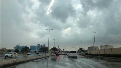 الأرصاد: نشهد موجة الصقيع الأخيرة في الشتاء الحالي (فيديو)