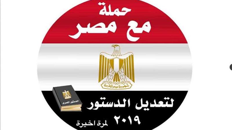 مع مصر: دستور 2014