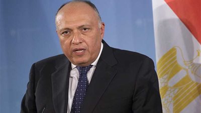 شكري: الاتفاق السياسي هو الإطار الأساسي للخروج من الوضع الراهن في ليبيا