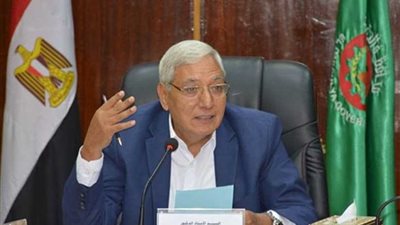 محافظ الدقهلية: استغلال الخدمة العامة للخريجين في محو الأمية