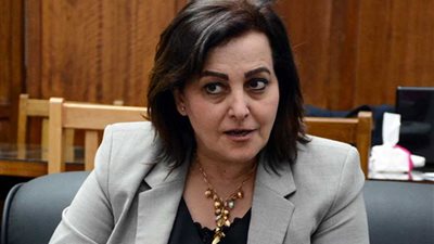 نائب وزير الزراعة: صناعة الدواجن مشروع قومي واعد