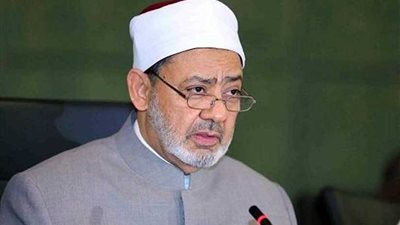 الإمام الأكبر: الأزهر حريص على التواصل مع المؤسسات الدينية
