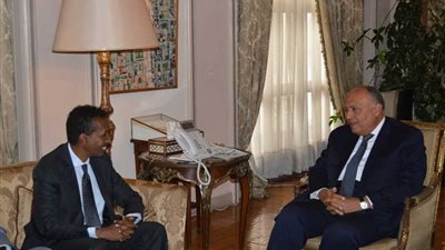 سامح شكرى يؤكد لنظيره الصومالى أهمية أمن واستقرار مقديشيو