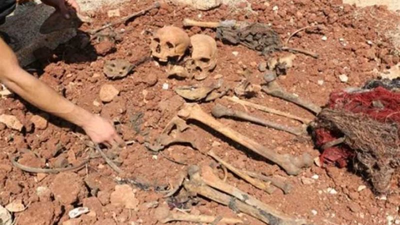 الدفاع الروسية: العثور