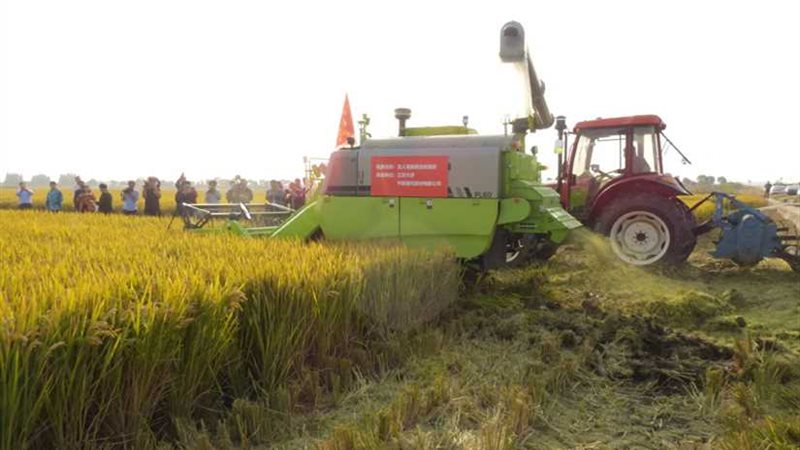 باحثة بالقومي للبحوث