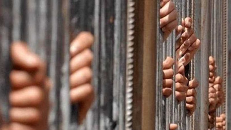 حبس مافيا تعويضات