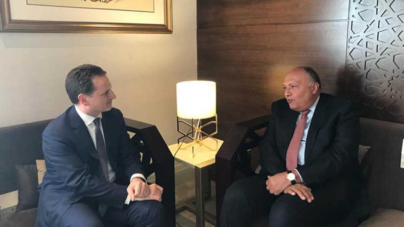 شكري يبحث مع مفوض