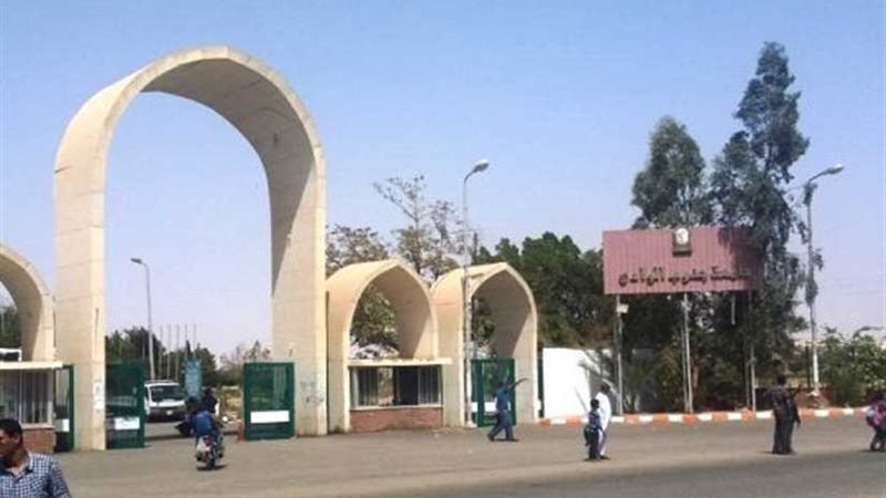 مجلس جامعة جنوب الوادي