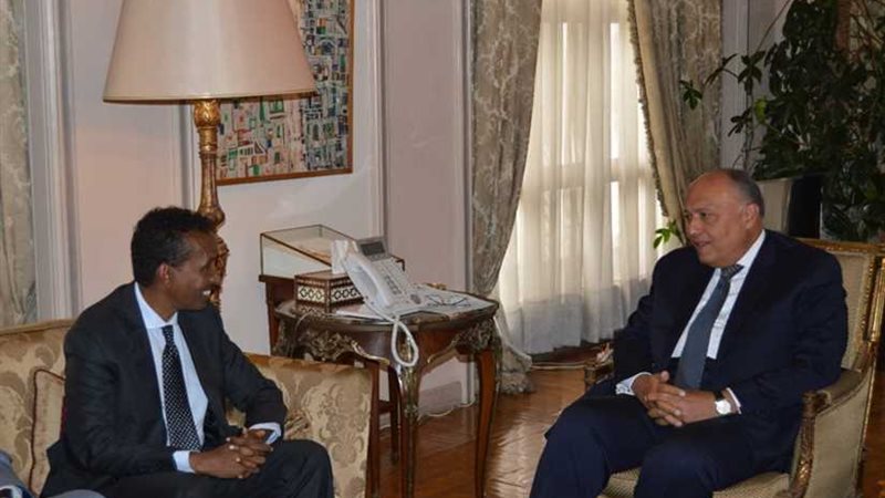 سامح شكرى يؤكد لنظيره