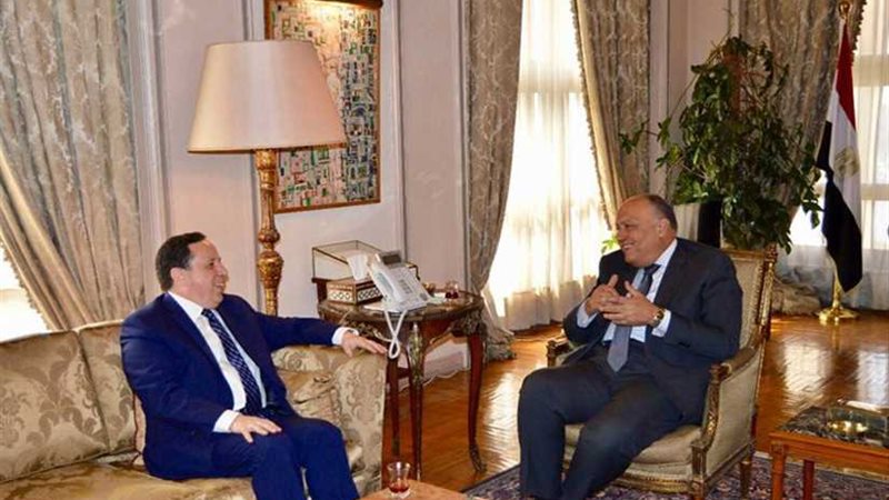 سامح شكري يلتقي نظيره