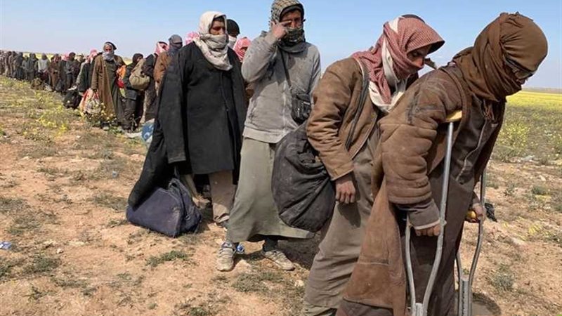 400 داعشي يسلمون