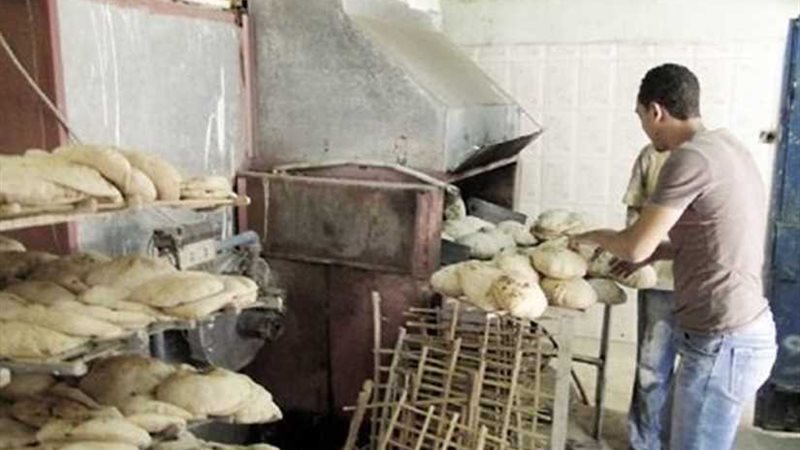 ضبط 535 مخالفة خلال