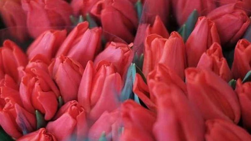 مناسبة للعرفان والاعتراف..