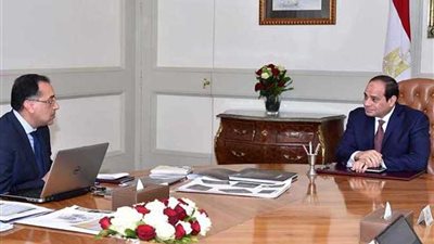 المتحدث الرئاسي: السيسي يوجه ببذل أقصى جهد لتطوير السكة الحديد