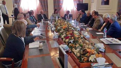 تعاون بين أجهزة الدولة لتطوير آليات التواصل مع المصريين في الخارج