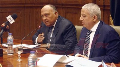 وزير الخارجية أمام 