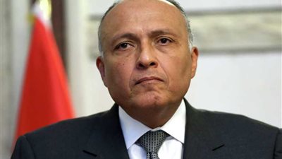 وزير الخارجية يؤكد على دعم مصر للسلام والاستقرار في جنوب السودان