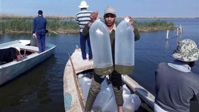 حملة لإزالة التعديات على بحيرة البرلس بـ