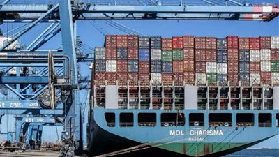 ميناء دمياط يستقبل 10 سفن حاويات وبضائع عامة خلال 24 ساعة