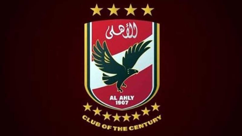 وفد طبي صيني متخصص