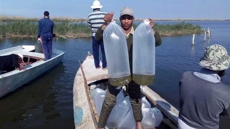 حملة لإزالة التعديات